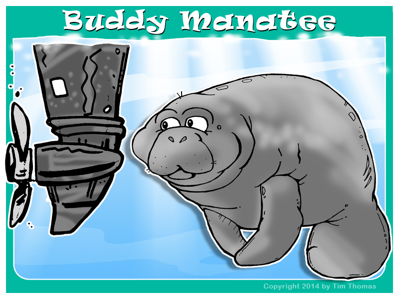 Buddy Manatee