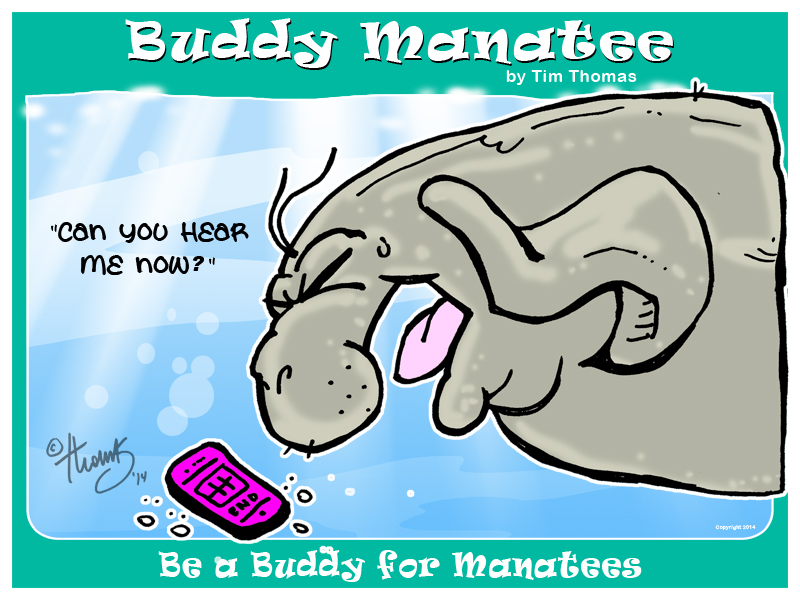 Buddy Manatee