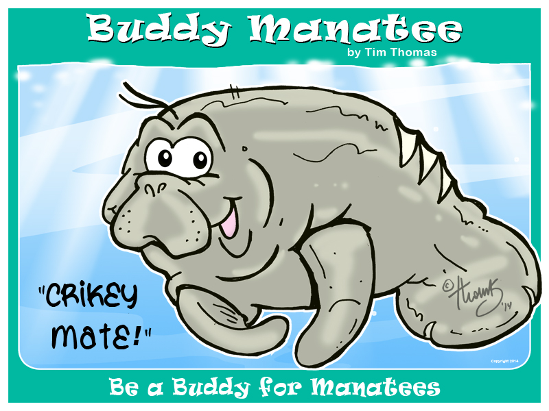 Buddy Manatee