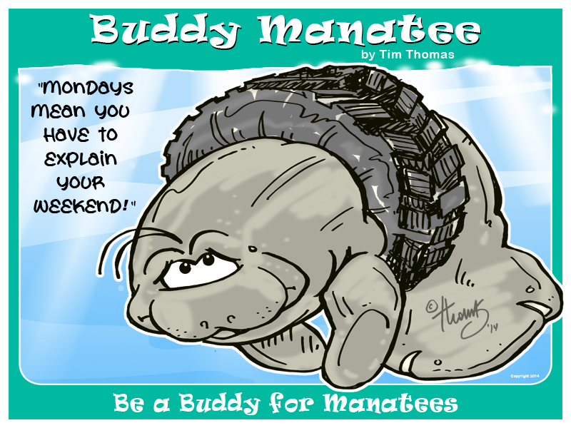 Buddy Manatee